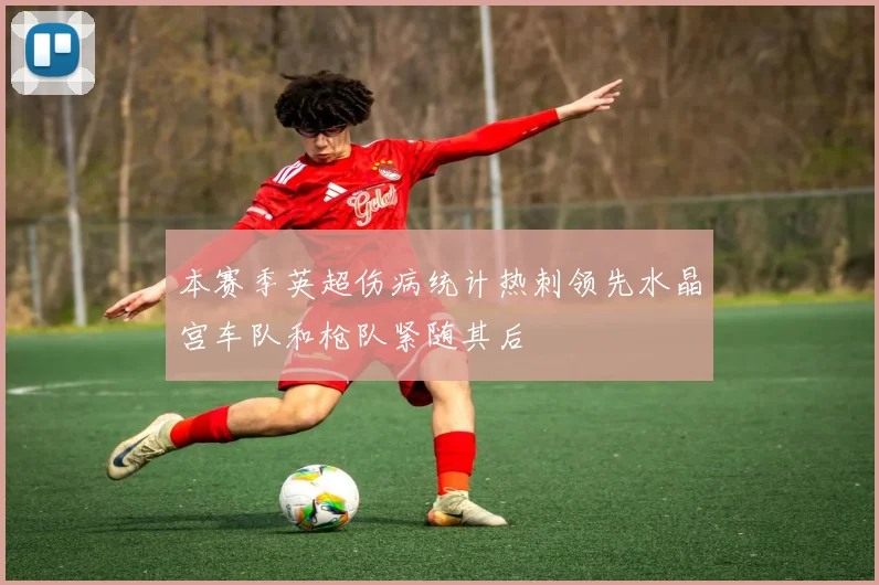 本赛季英超伤病统计热刺领先水晶宫车队和枪队紧随其后